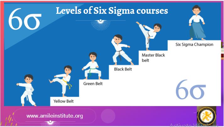 Level of Six Sigma certification